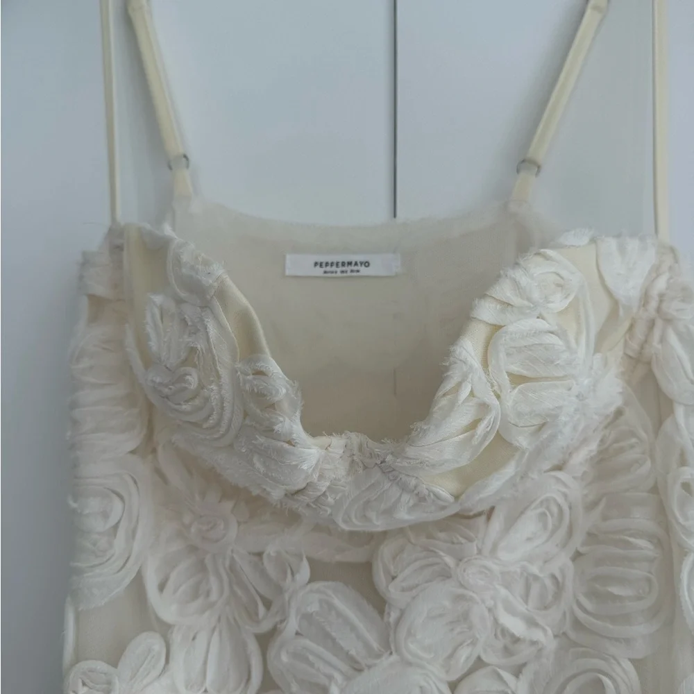 Elegant Cream Lace Gown - Picture 2 of 5